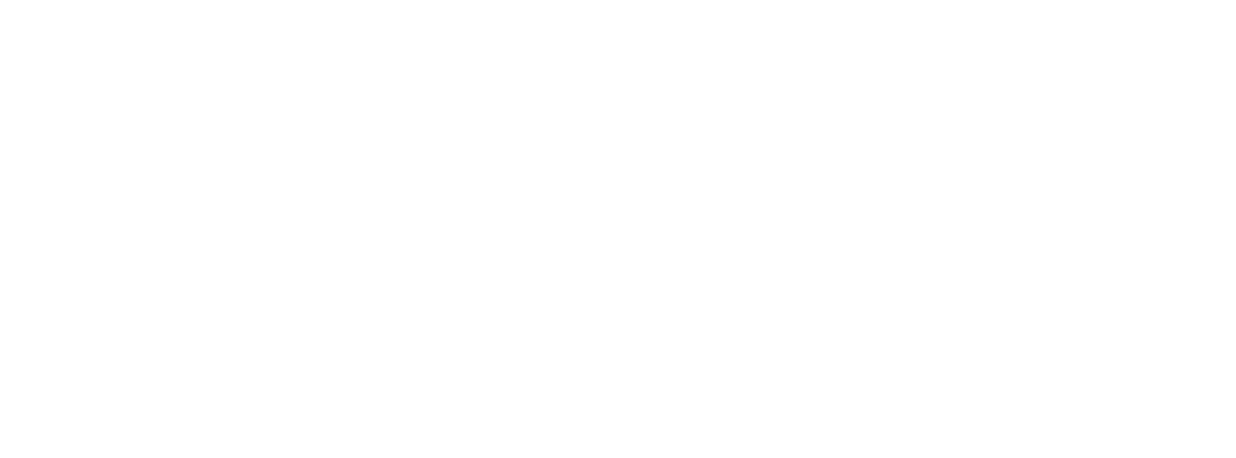 Logo2